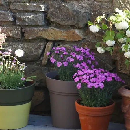 Holiday home Le Walkoti - Cosy With 2 Bedrooms